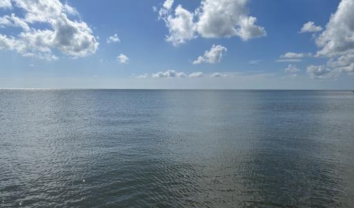 Photo #29 of SOLD property in Off Styron Creek Road, Sealevel, NC 105.0 acres