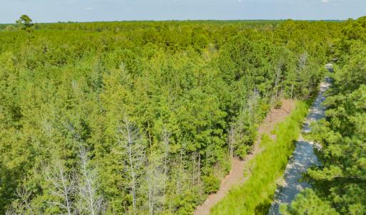 Photo #3 of SOLD property in Off Soles Cemetery Lane, Tabor City, NC 5.0 acres