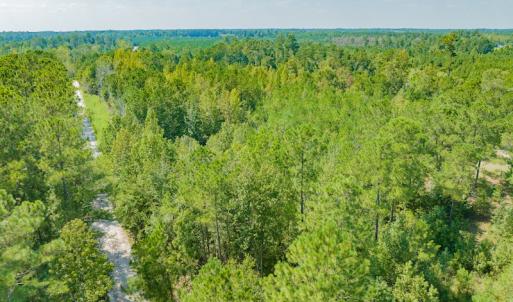 Photo #4 of SOLD property in Off Soles Cemetery Lane, Tabor City, NC 5.0 acres