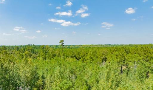 Photo #5 of SOLD property in Off Soles Cemetery Lane, Tabor City, NC 5.0 acres