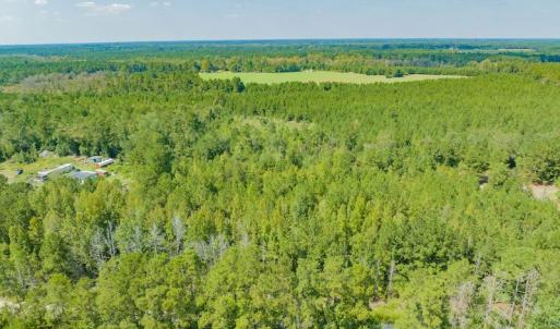 Photo #6 of SOLD property in Off Soles Cemetery Lane, Tabor City, NC 5.0 acres