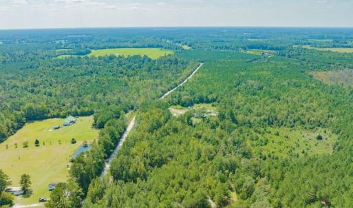 Photo #7 of SOLD property in Off Soles Cemetery Lane, Tabor City, NC 5.0 acres
