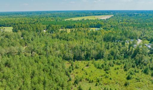 Photo #8 of SOLD property in Off Soles Cemetery Lane, Tabor City, NC 5.0 acres