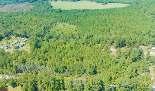 Photo #10 of SOLD property in Off Soles Cemetery Lane, Tabor City, NC 5.0 acres