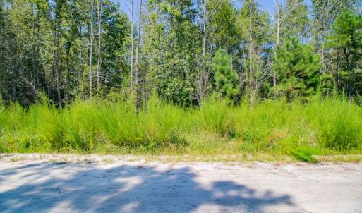 Photo #12 of SOLD property in Off Soles Cemetery Lane, Tabor City, NC 5.0 acres