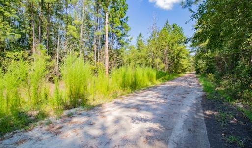 Photo #13 of SOLD property in Off Soles Cemetery Lane, Tabor City, NC 5.0 acres