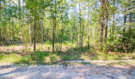 Photo #14 of SOLD property in Off Soles Cemetery Lane, Tabor City, NC 5.0 acres