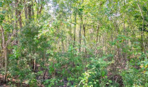 Photo #15 of SOLD property in Off Soles Cemetery Lane, Tabor City, NC 5.0 acres