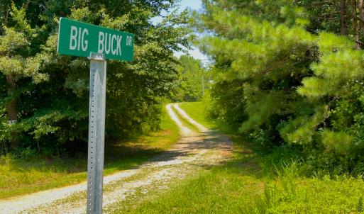 Photo #6 of SOLD property in Off Hunters Bluff Drive, Warrenton, NC 12.0 acres