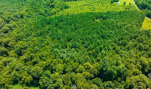Photo #7 of SOLD property in Off Hunters Bluff Drive, Warrenton, NC 12.0 acres