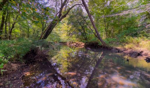 Photo #9 of SOLD property in Off Hunters Bluff Drive, Warrenton, NC 12.0 acres