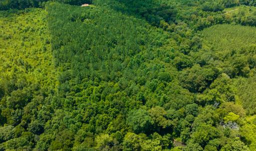 Photo #10 of SOLD property in Off Hunters Bluff Drive, Warrenton, NC 12.0 acres