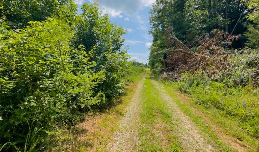 Photo #11 of SOLD property in Off Hunters Bluff Drive, Warrenton, NC 12.0 acres
