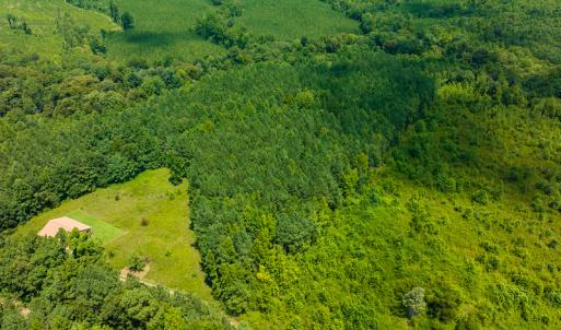 Photo #12 of SOLD property in Off Hunters Bluff Drive, Warrenton, NC 12.0 acres