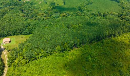Photo #15 of SOLD property in Off Hunters Bluff Drive, Warrenton, NC 12.0 acres