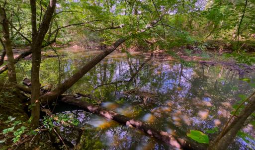 Photo #16 of SOLD property in Off Hunters Bluff Drive, Warrenton, NC 12.0 acres