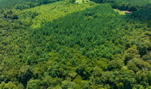 Photo #17 of SOLD property in Off Hunters Bluff Drive, Warrenton, NC 12.0 acres