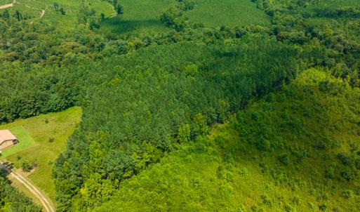 Photo #19 of SOLD property in Off Hunters Bluff Drive, Warrenton, NC 12.0 acres