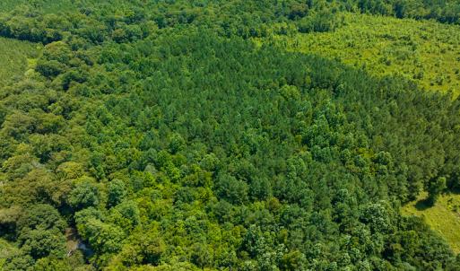 Photo #21 of SOLD property in Off Hunters Bluff Drive, Warrenton, NC 12.0 acres