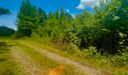 Photo #22 of SOLD property in Off Hunters Bluff Drive, Warrenton, NC 12.0 acres