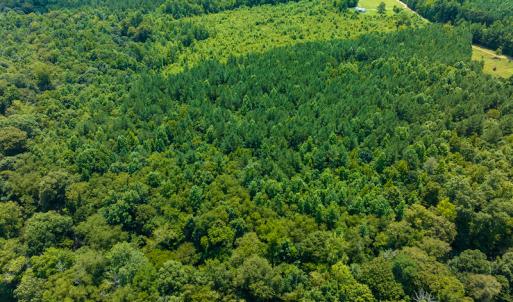 Photo #24 of SOLD property in Off Hunters Bluff Drive, Warrenton, NC 12.0 acres
