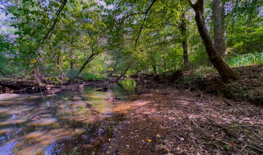 Photo #25 of SOLD property in Off Hunters Bluff Drive, Warrenton, NC 12.0 acres
