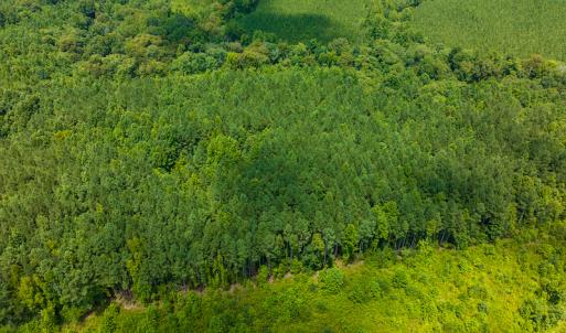 Photo #26 of SOLD property in Off Hunters Bluff Drive, Warrenton, NC 12.0 acres