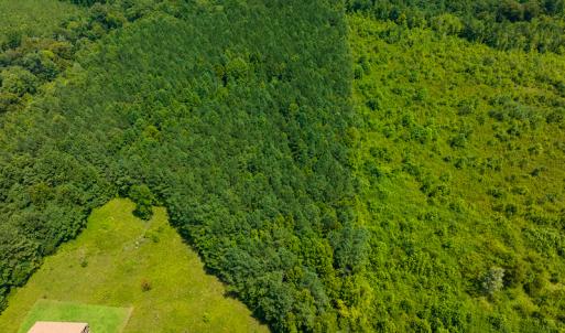 Photo #27 of SOLD property in Off Hunters Bluff Drive, Warrenton, NC 12.0 acres