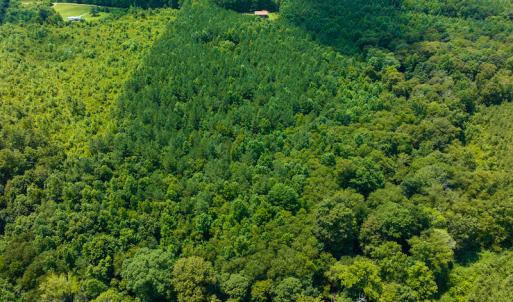 Photo #29 of SOLD property in Off Hunters Bluff Drive, Warrenton, NC 12.0 acres