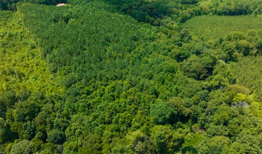 Photo #31 of SOLD property in Off Hunters Bluff Drive, Warrenton, NC 12.0 acres