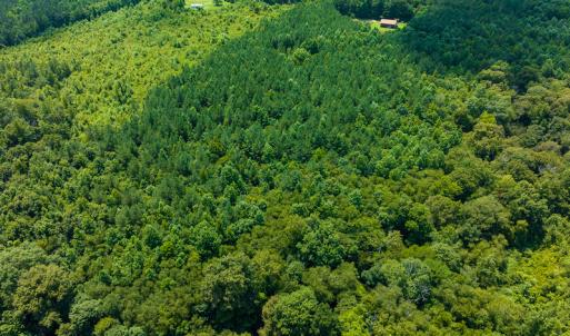 Photo #33 of SOLD property in Off Hunters Bluff Drive, Warrenton, NC 12.0 acres