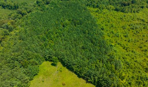 Photo #34 of SOLD property in Off Hunters Bluff Drive, Warrenton, NC 12.0 acres