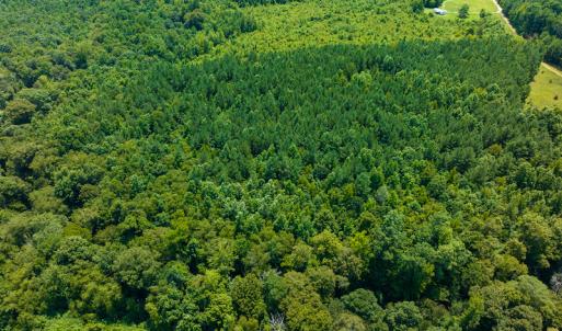 Photo #38 of SOLD property in Off Hunters Bluff Drive, Warrenton, NC 12.0 acres
