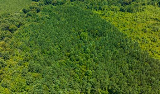 Photo #39 of SOLD property in Off Hunters Bluff Drive, Warrenton, NC 12.0 acres
