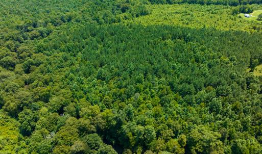 Photo #41 of SOLD property in Off Hunters Bluff Drive, Warrenton, NC 12.0 acres
