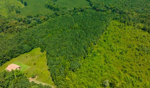 Photo #42 of SOLD property in Off Hunters Bluff Drive, Warrenton, NC 12.0 acres