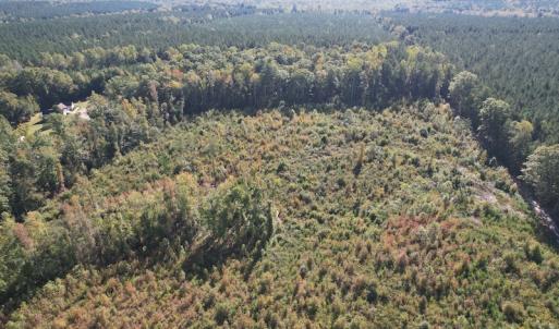 Photo #3 of SOLD property in Off Crayton Lane, Amelia Court House, VA 6.5 acres