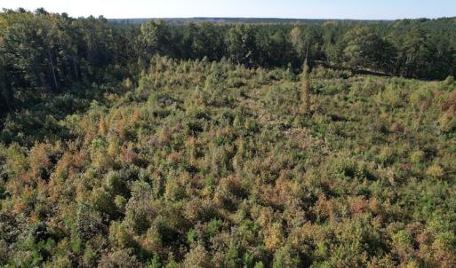 Photo #6 of SOLD property in Off Crayton Lane, Amelia Court House, VA 6.5 acres