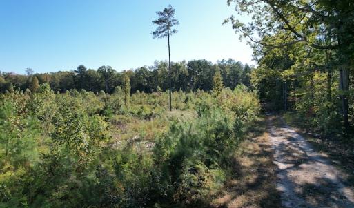 Photo #8 of SOLD property in Off Crayton Lane, Amelia Court House, VA 6.5 acres