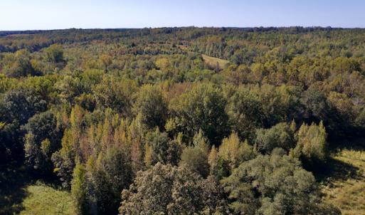 Photo #15 of SOLD property in Off Lowrys Road, Gaffney, SC 579.9 acres