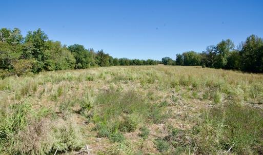 Photo #16 of Off Lowrys Road, Gaffney, SC 579.9 acres