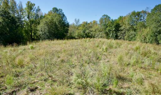 Photo #17 of SOLD property in Off Lowrys Road, Gaffney, SC 579.9 acres