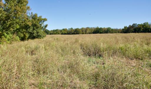 Photo #18 of SOLD property in Off Lowrys Road, Gaffney, SC 579.9 acres