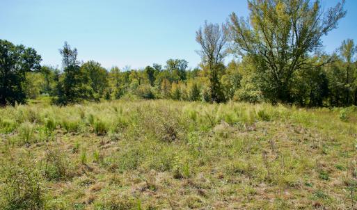 Photo #19 of SOLD property in Off Lowrys Road, Gaffney, SC 579.9 acres