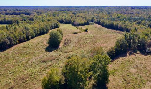 Photo #4 of SOLD property in Off Lowrys Road, Gaffney, SC 579.9 acres