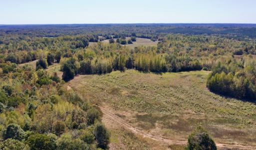 Photo #8 of SOLD property in Off Lowrys Road, Gaffney, SC 579.9 acres