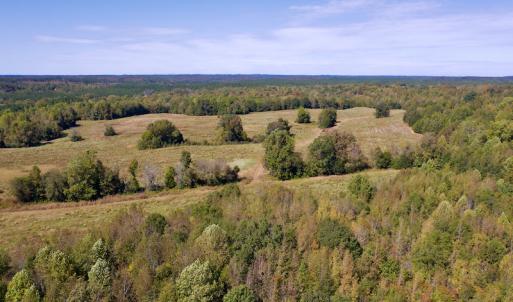 Photo #10 of SOLD property in Off Lowrys Road, Gaffney, SC 579.9 acres