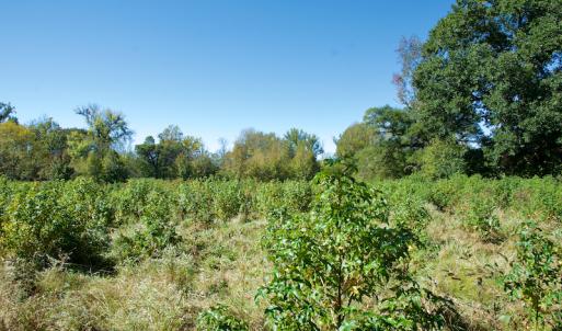 Photo #23 of SOLD property in Off Lowrys Road, Gaffney, SC 579.9 acres