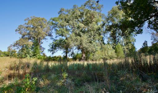 Photo #24 of SOLD property in Off Lowrys Road, Gaffney, SC 579.9 acres