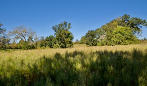 Photo #25 of SOLD property in Off Lowrys Road, Gaffney, SC 579.9 acres